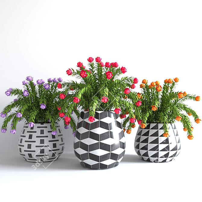 Colorful Flower Pot Collection 3D model image 1