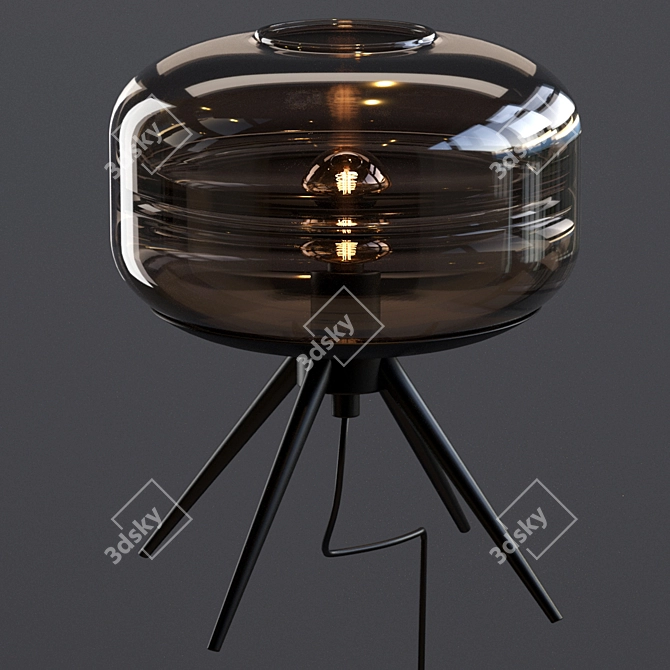 Adler Glass Dome Lamp: Modern Illuminate 3D model image 3