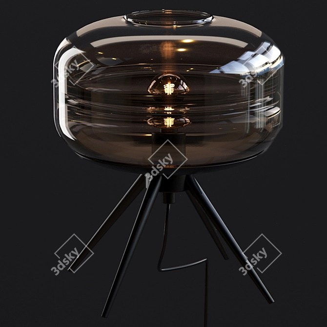 Adler Glass Dome Lamp: Modern Illuminate 3D model image 5