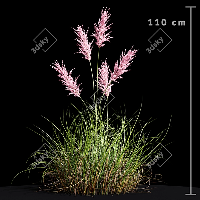 Premium Selloana Grass: Lifelike 3D Model 3D model image 3