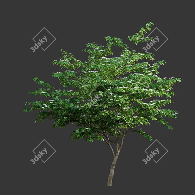 Versatile 3D Model Collection 3D model image 3