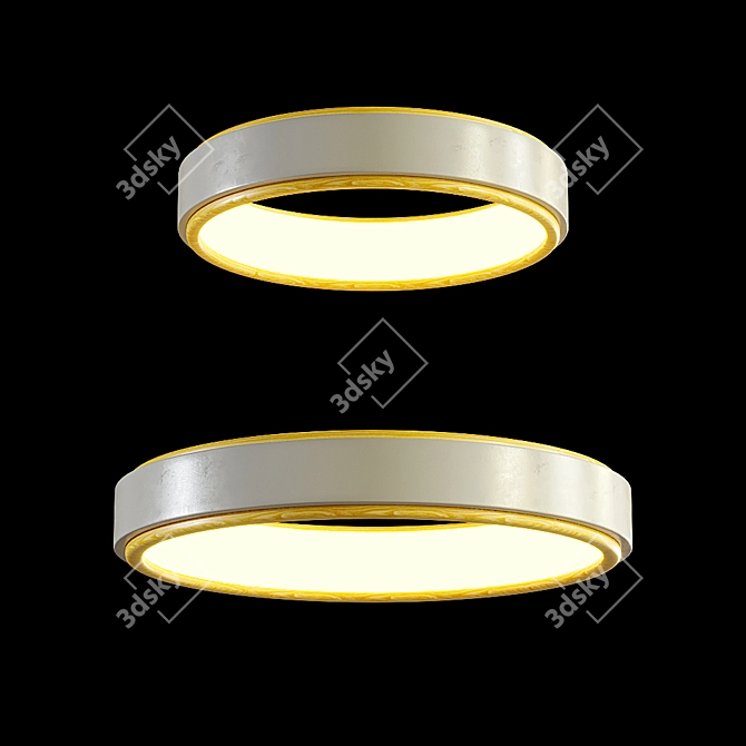 Elegant Lampatron Bristol Ceiling Light 3D model image 2