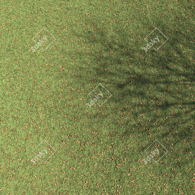 Autumn Leaves Lawn - Scattered Foliage Model 3D model image 2