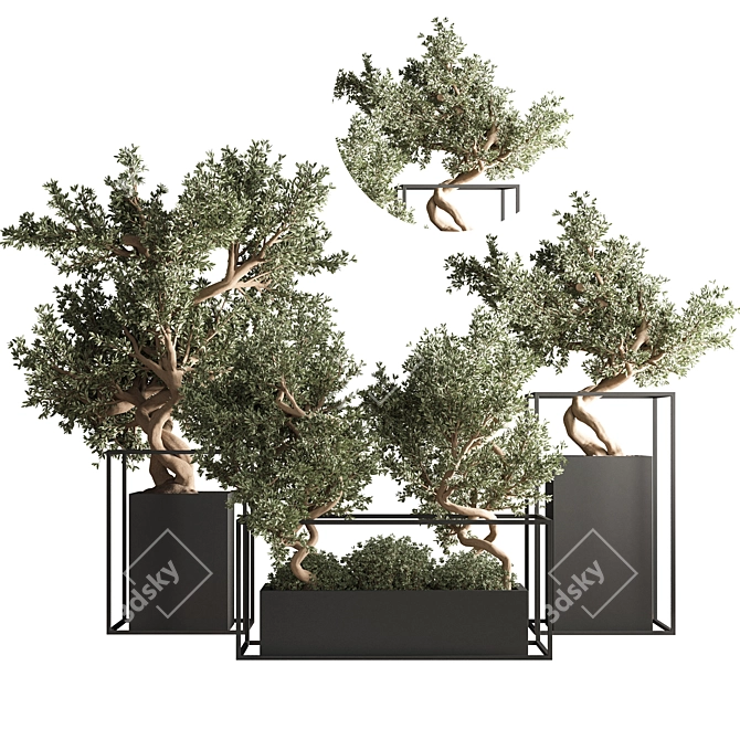 Indoor Bonsai Set: Natural Elegance 3D model image 1