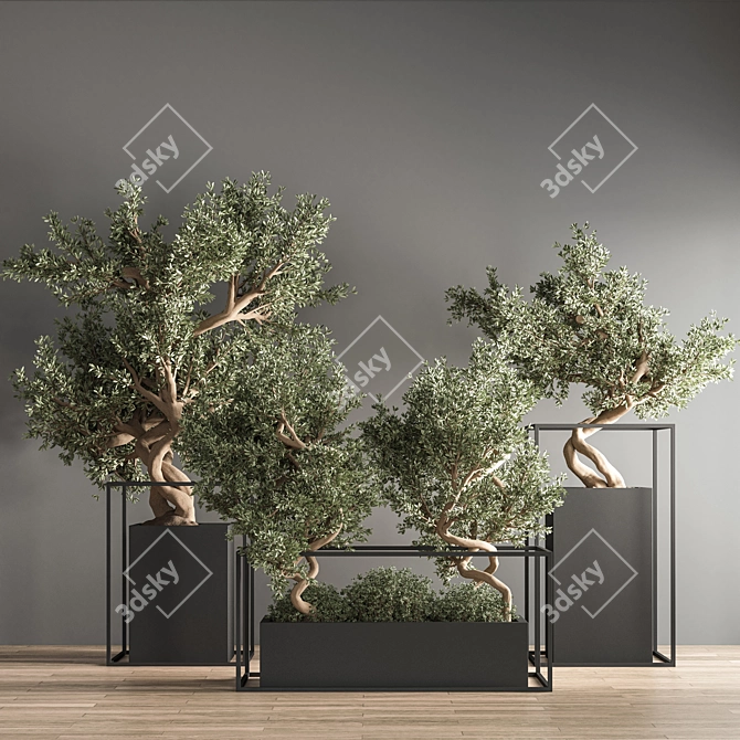 Indoor Bonsai Set: Natural Elegance 3D model image 2