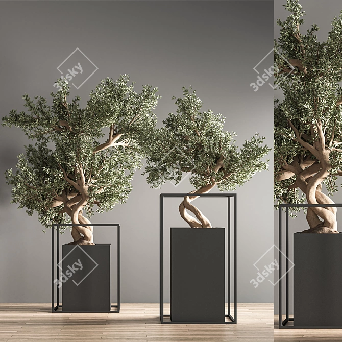 Indoor Bonsai Set: Natural Elegance 3D model image 3