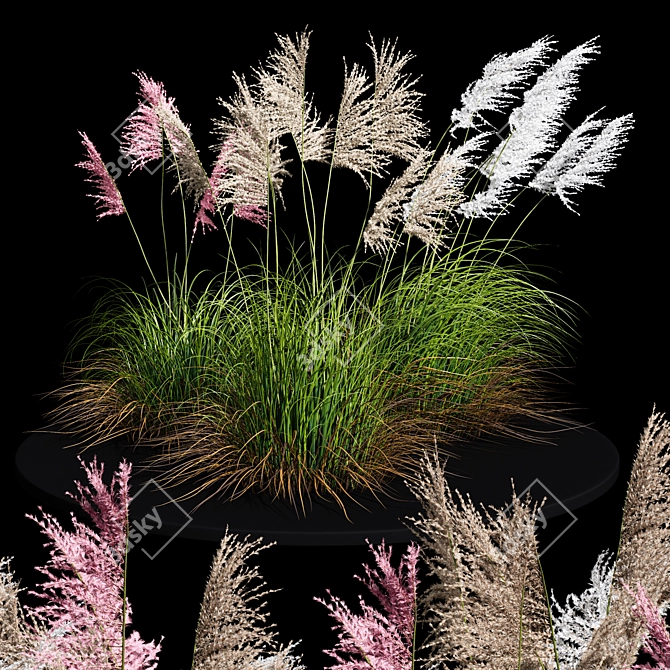 Ravenna Grass: Stunning 3D Model 3D model image 1
