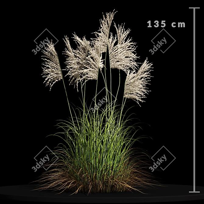 Ravenna Grass: Stunning 3D Model 3D model image 2