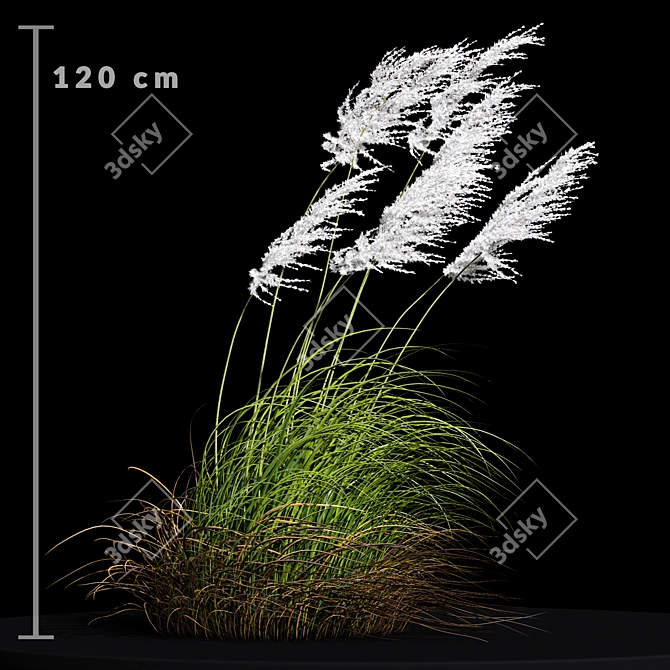 Ravenna Grass: Stunning 3D Model 3D model image 3