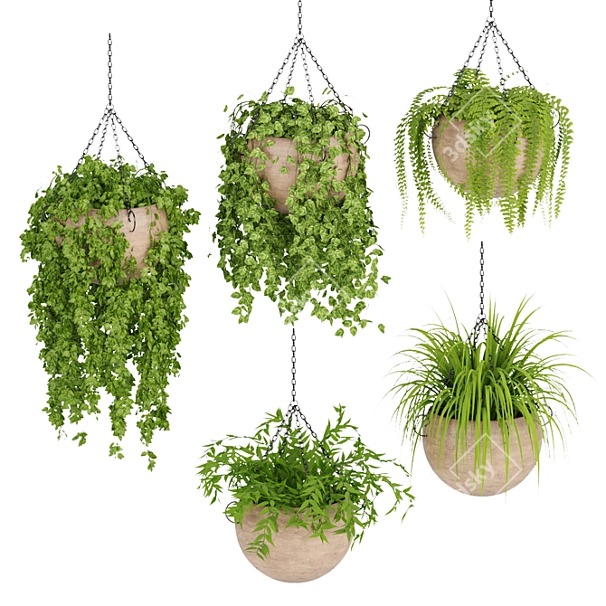 Indoor Hanging Plant Collection: Vol. 41 3D model image 1