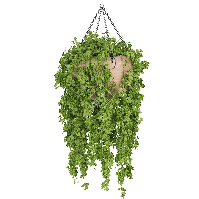 Indoor Hanging Plant Collection: Vol. 41 3D model image 4