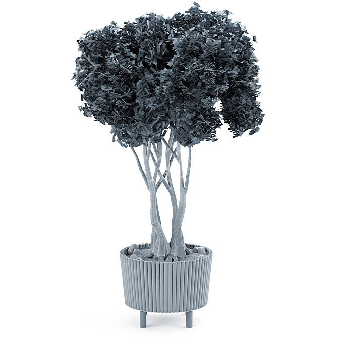 Botanical Bliss Indoor Plant Set 3D model image 3