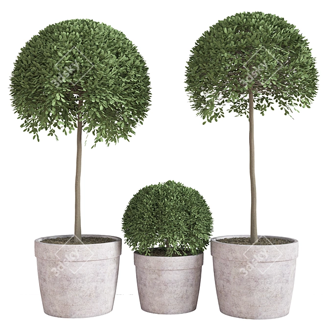 Lush Indoor Plant Set 3D model image 1