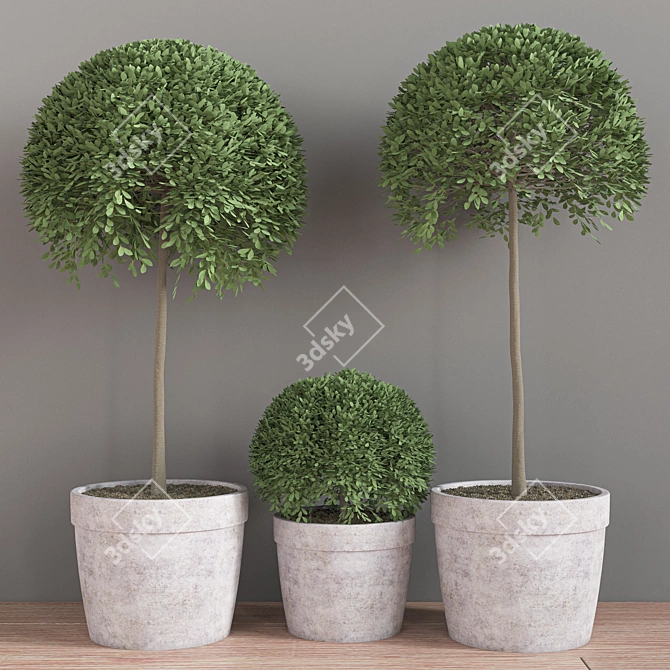 Lush Indoor Plant Set 3D model image 2