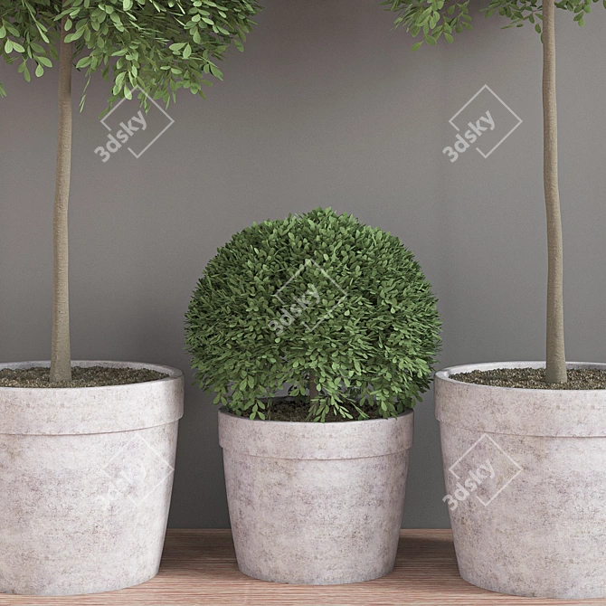 Lush Indoor Plant Set 3D model image 3