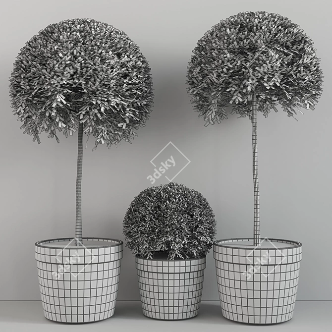 Lush Indoor Plant Set 3D model image 6