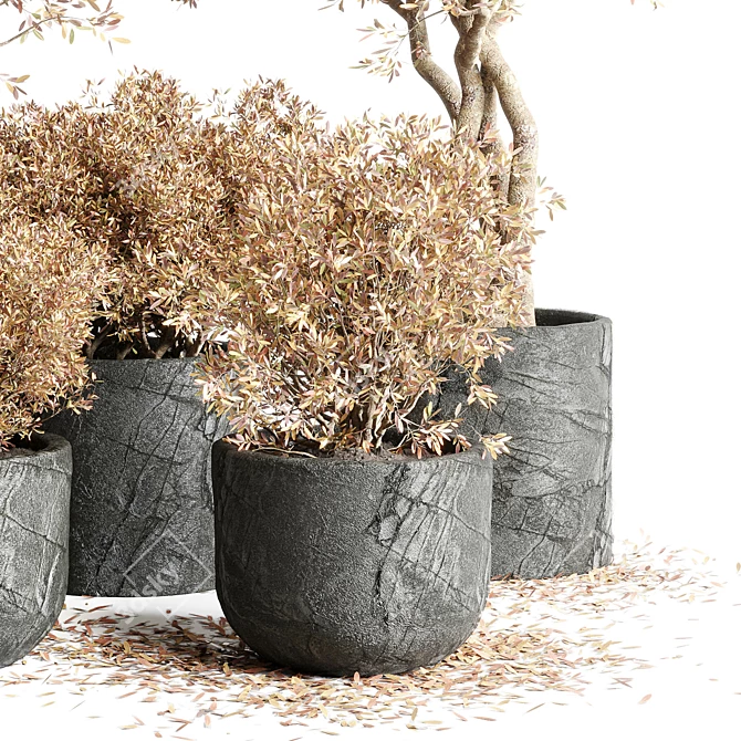 Autumn Plant Collection: 64 Dirty Stone Pots 3D model image 2