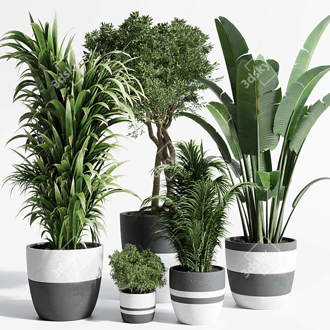 Dirty Concrete Pot Collection: 138 Indoor/Outdoor Plants 3D model image 1