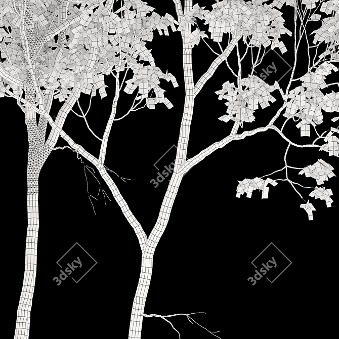 Northern Hackberry Tree - Vray and Corona Material Libraries - 13m Height 3D model image 5
