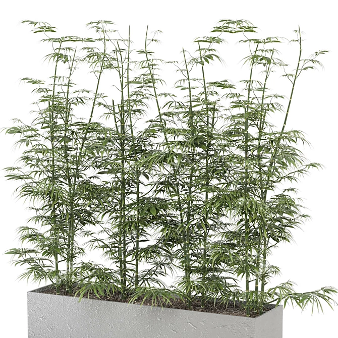 Ferm Living Bau Pot Large - Set 101: Indoor Greenery 3D model image 4