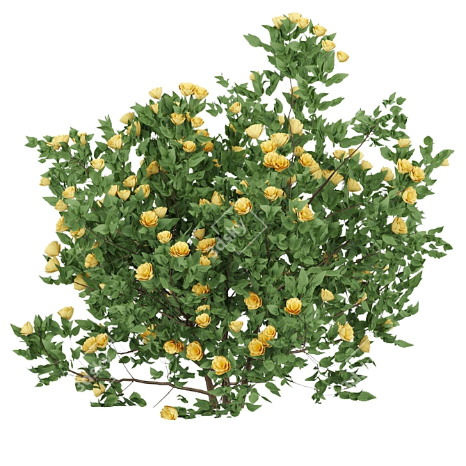 Blooming Bushes Variety Set 3D model image 3