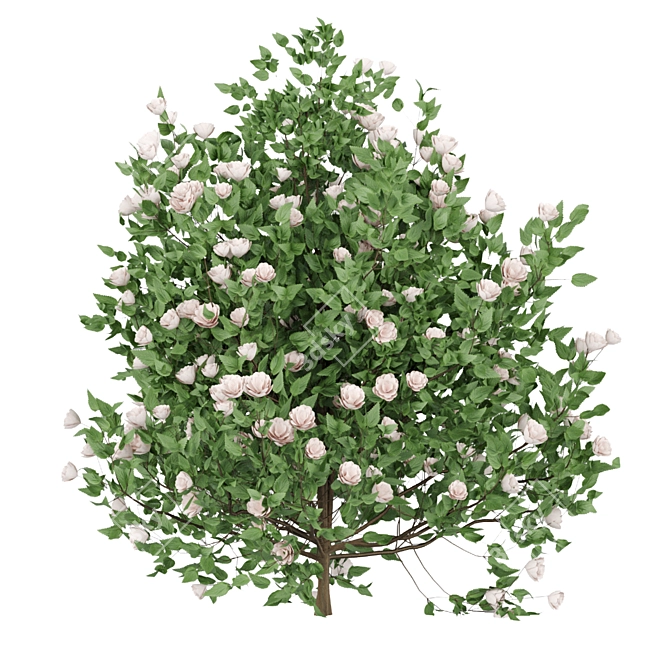 Blooming Bushes Variety Set 3D model image 5