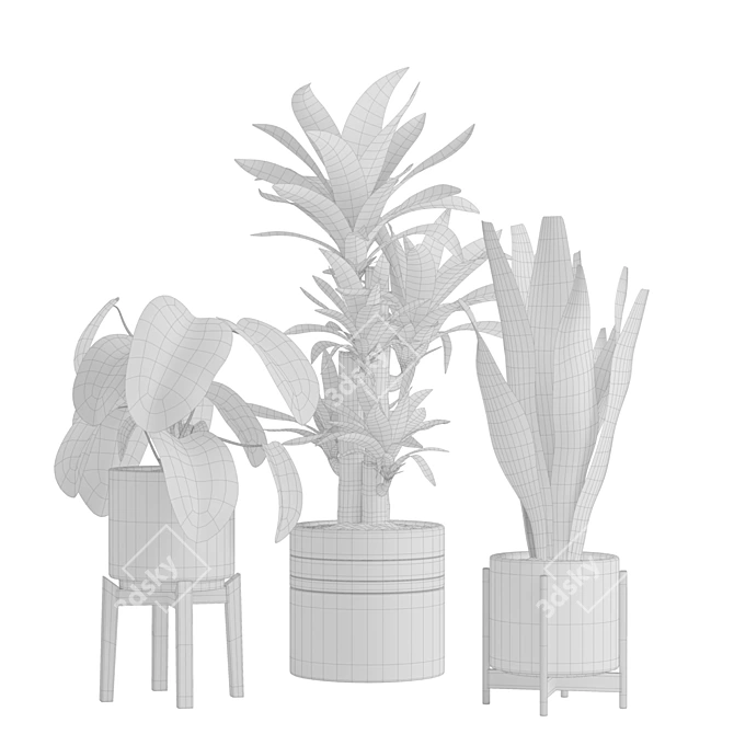 Tropical Indoor Plant Collection 3D model image 2