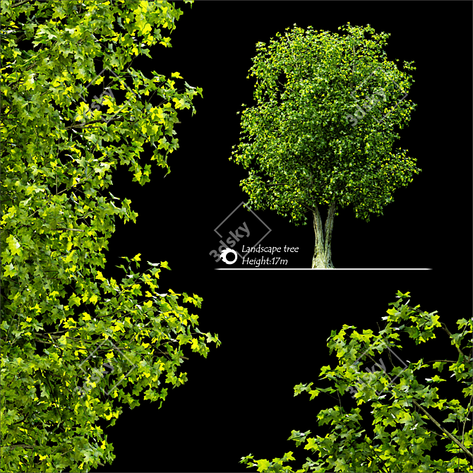 2014 Landscape Tree | 17m Height 3D model image 1