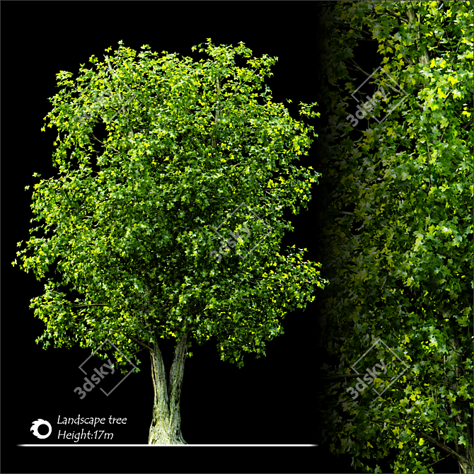 2014 Landscape Tree | 17m Height 3D model image 2