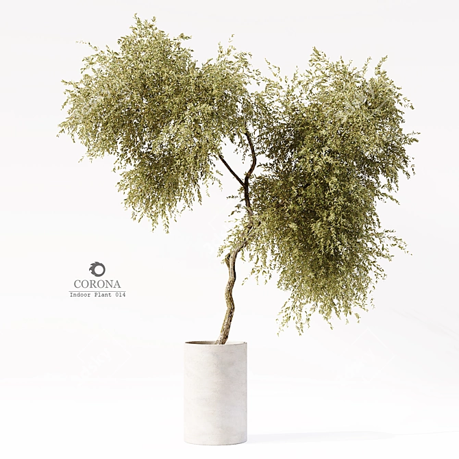 Lush Interior Foliage: Indoor Plant 014 3D model image 1