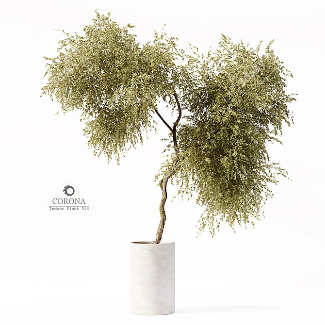 Lush Interior Foliage: Indoor Plant 014 3D model image 4