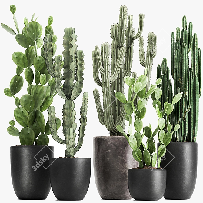 Exotic Cactus Collection: Column, Saguaro, Cereus 3D model image 6