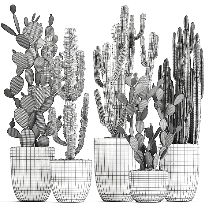 Exotic Cactus Collection: Column, Saguaro, Cereus 3D model image 7