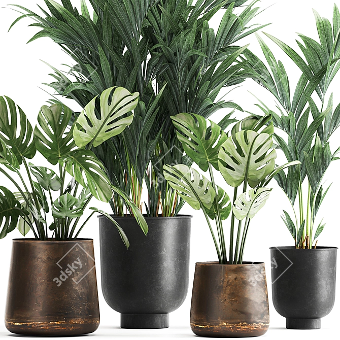 Tropical Plant Collection: Monstera, Palms & Exotics 3D model image 4