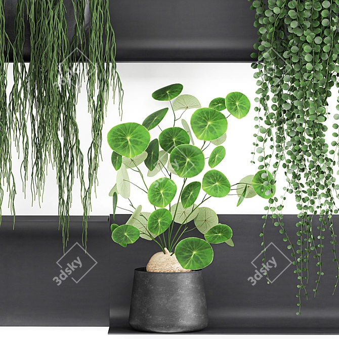 Vertical Garden Shelf Kit: Exotic Plants & Succulents 3D model image 3