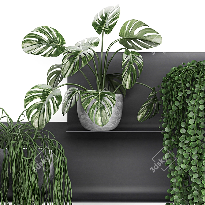 Vertical Garden Shelf Kit: Exotic Plants & Succulents 3D model image 4