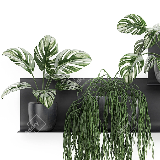 Vertical Garden Shelf Kit: Exotic Plants & Succulents 3D model image 5