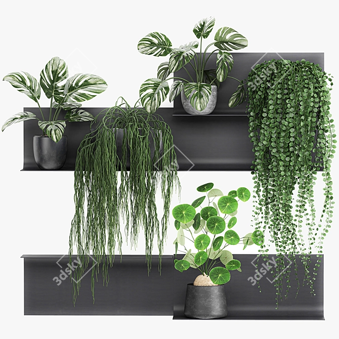 Vertical Garden Shelf Kit: Exotic Plants & Succulents 3D model image 6