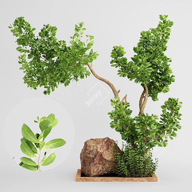 2015 Outdoor Plant Vol 15: Beautiful and Durable Greenery 3D model image 1