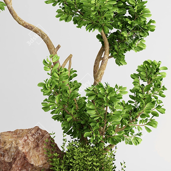 2015 Outdoor Plant Vol 15: Beautiful and Durable Greenery 3D model image 2