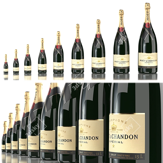 Moët & Chandon Champagne: All Sizes, Premium Quality 3D model image 1