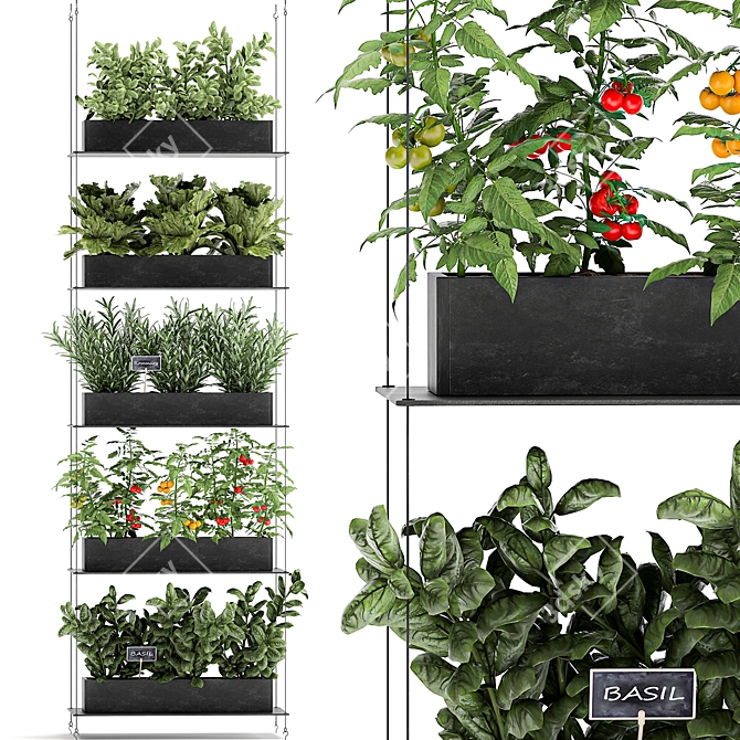 Vertical Garden: Grow Fresh Herbs, Vegetables, and Greens in your Kitchen 3D model image 1