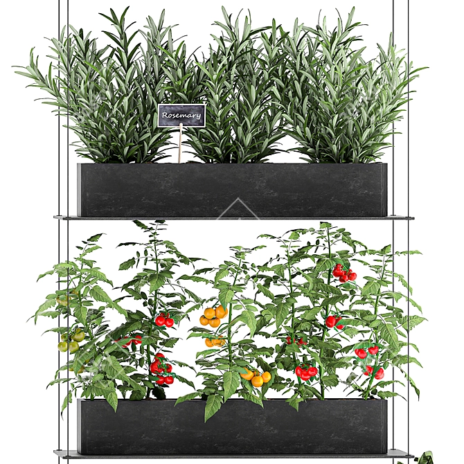 Vertical Garden: Grow Fresh Herbs, Vegetables, and Greens in your Kitchen 3D model image 2