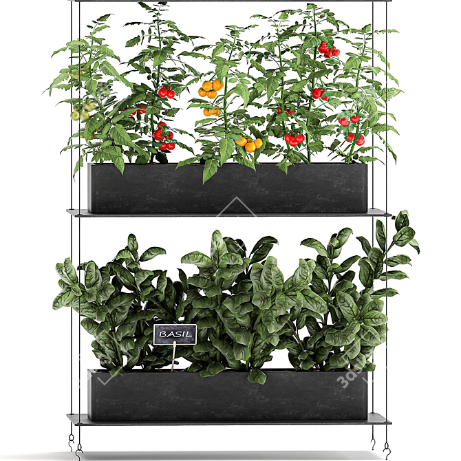 Vertical Garden: Grow Fresh Herbs, Vegetables, and Greens in your Kitchen 3D model image 5