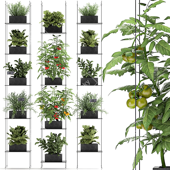Vertical Greenery: Kitchen Garden & Exotic Plants 3D model image 1