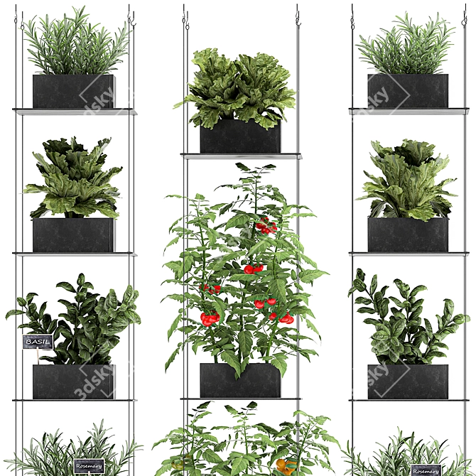 Vertical Greenery: Kitchen Garden & Exotic Plants 3D model image 3