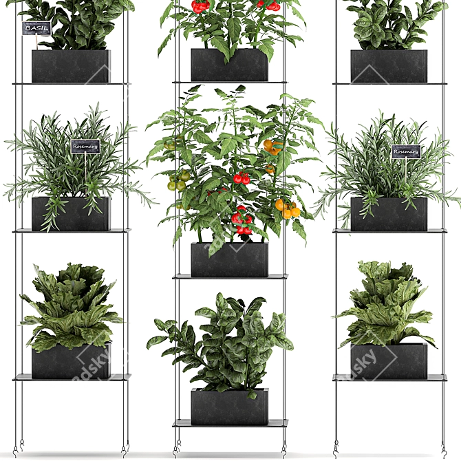 Vertical Greenery: Kitchen Garden & Exotic Plants 3D model image 4