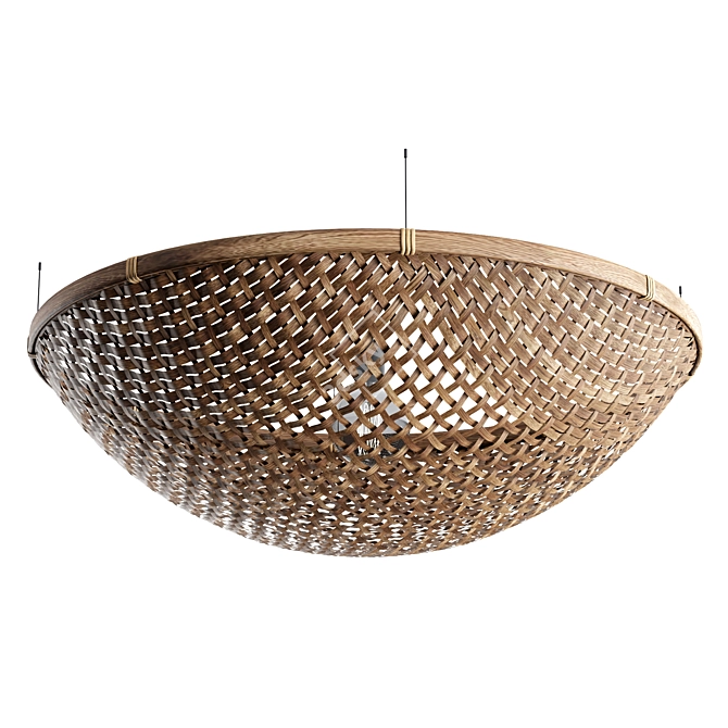 Rustic Rattan Pendant Lights 3D model image 3