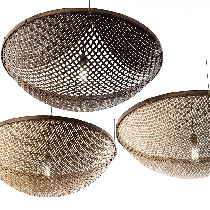 Rustic Rattan Pendant Lights 3D model image 5