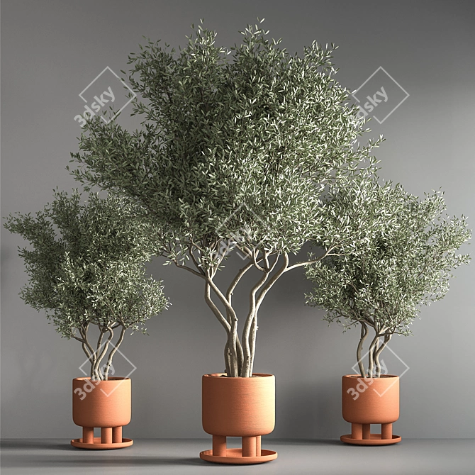 Green Oasis Indoor Plant Set 3D model image 4